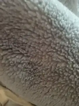 Snapshot of Saif_b11b chatting on March 2026 10:15:01 PM Saif b11b online show from March 2026 10:15:01 PM