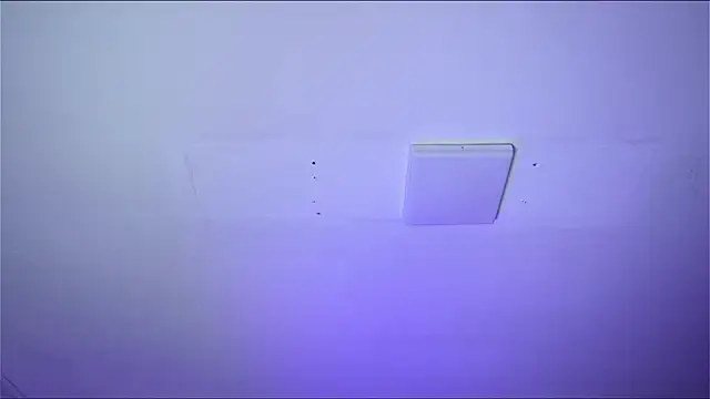 Bayonetta doll online show from February 2026 12:46:02 PM