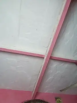 Ut kanchna online show from November 2025 02:35:01 PM