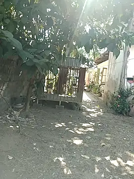 Snapshot of SL_BEAR chatting on March 2026 04:18:01 AM SL BEAR online show from March 2026 04:18:01 AM