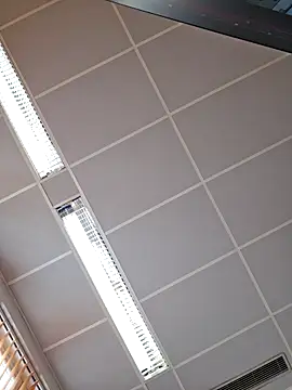 Snapshot of toyboyfin chatting on October 2025 11:09:01 AM toyboyfin online show from October 2025 11:09:01 AM