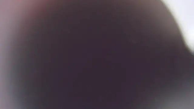 Stefano Calle online show from December 2025 11:41:02 AM