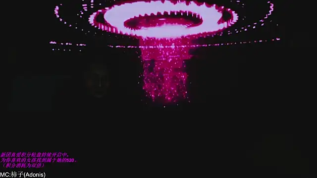 World-flower online show from November 2025 03:11:02 PM