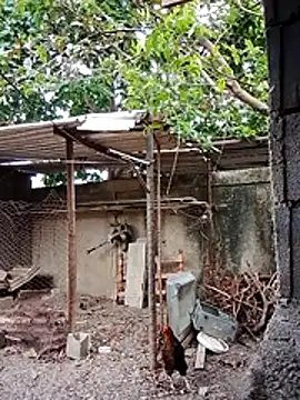 blackhot30 online show from December 2025 06:57:02 PM