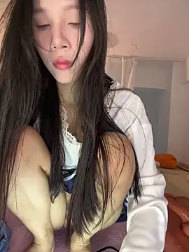 Snapshot of Mmo66 chatting on February 2026 08:20:01 AM Mmo66 online show from February 2026 08:20:01 AM