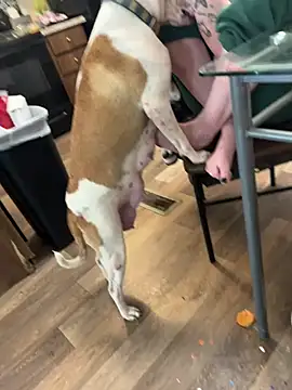 Snapshot of Mustbethemoney1234 chatting on April 2026 09:05:02 PM Mustbethemoney1234 online show from April 2026 09:05:02 PM