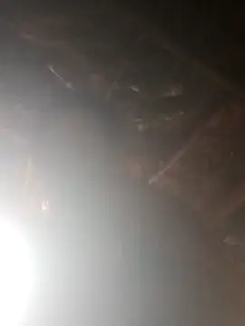 rasmi powar online show from November 2025 02:03:01 AM