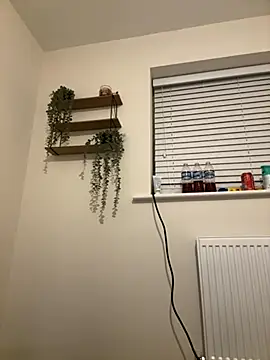 Hothungboy1 online show from November 2025 05:50:02 PM