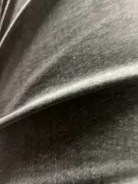 arasazgin online show from March 2026 12:04:02 AM