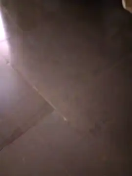 svk 05 online show from October 2025 11:22:01 AM