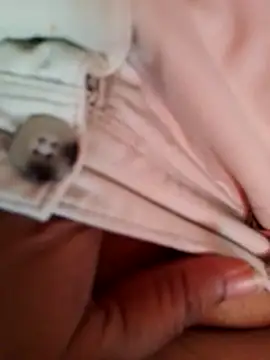 svk 05 online show from December 2025 09:26:02 AM