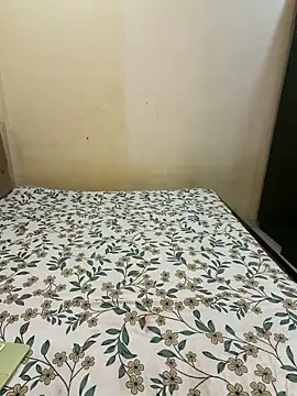 Snapshot of payal_mittal chatting on April 2026 04:47:02 PM payal mittal online show from April 2026 04:47:02 PM