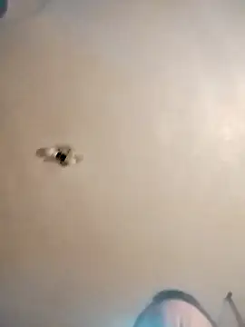 james81mzmga online show from November 2025 08:11:02 AM