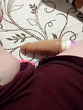 Taradinha pelosogro online show from October 2025 12:31:01 PM