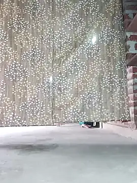 Rajni chauhan online show from December 2025 08:20:02 AM