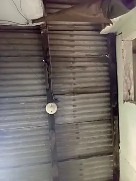 roludo2208 online show from November 2025 03:56:02 PM