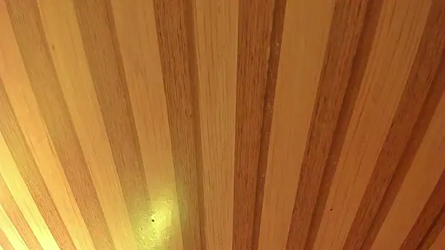 Snapshot of mia__blaze__ chatting on March 2026 03:11:02 AM mia blaze online show from March 2026 03:11:02 AM