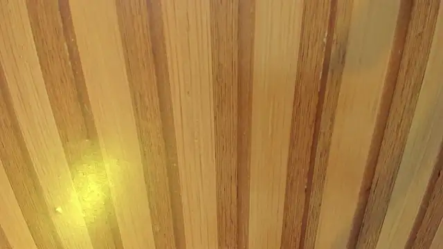 Snapshot of mia__blaze__ chatting on April 2026 02:55:01 AM mia blaze online show from April 2026 02:55:01 AM