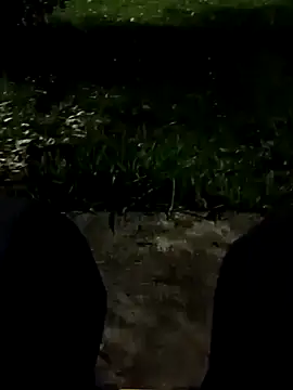 roludao fun online show from November 2025 10:54:01 PM