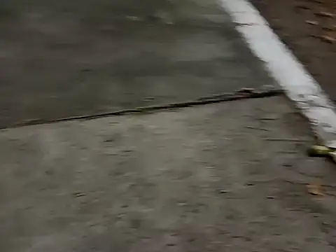 roludao fun online show from December 2025 10:07:02 PM