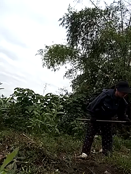 Chmdiemd online show from November 2025 12:43:01 AM