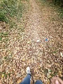 bbyxklaus online show from October 2025 11:11:01 AM