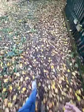 bbyxklaus online show from November 2025 10:36:02 AM