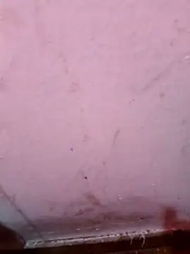 Argentino 96 online show from January 2026 08:00:02 PM