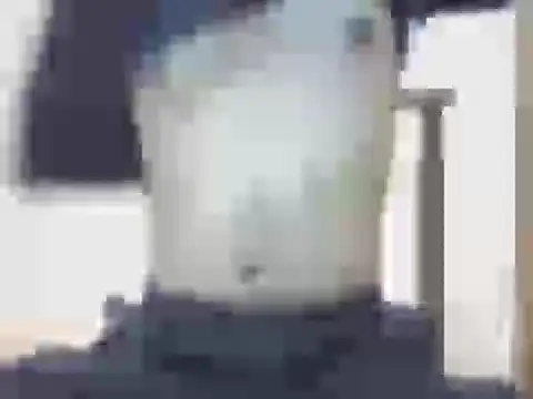 nick2445 online show from March 2026 09:29:01 PM