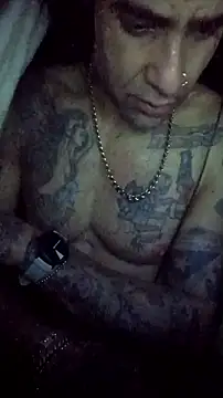 alphacloudGod online show from February 2026 04:30:01 AM