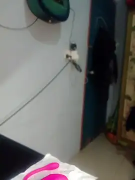 Snapshot of Nex_live chatting on May 2026 12:56:01 PM Nex live online show from May 2026 12:56:01 PM