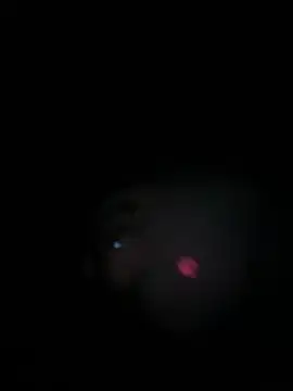 Snapshot of Paapii1098 chatting on March 2026 08:04:02 PM Paapii1098 online show from March 2026 08:04:02 PM