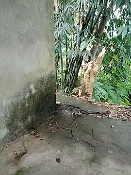 Snapshot of Bear_bear0 chatting on November 2025 01:50:02 AM Bear bear0 online show from November 2025 01:50:02 AM