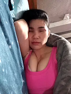 Bear bear0 online show from March 2026 11:22:02 PM