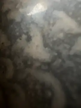 bart98geil online show from February 2026 07:26:01 AM