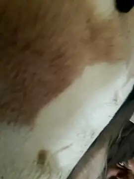 Perfect size online show from November 2025 08:58:02 AM