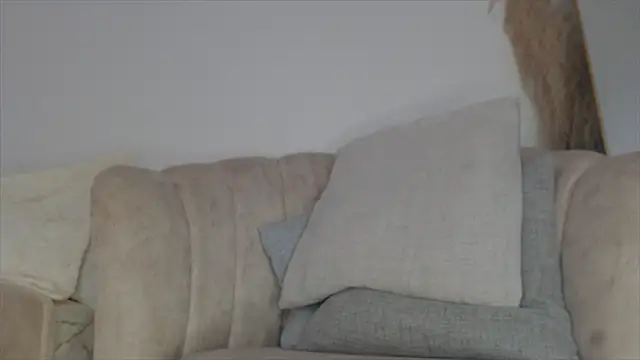 Snapshot of Trissa_Benson chatting on March 2026 03:17:01 PM Trissa Benson online show from March 2026 03:17:01 PM