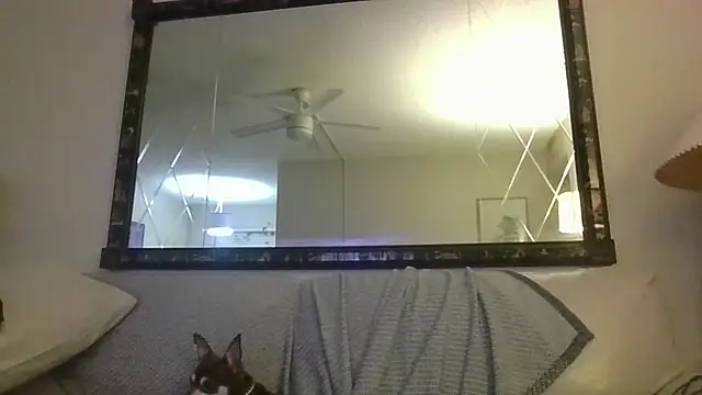 Snapshot of KosherCo313 chatting on November 2025 01:27:02 AM KosherCo313 online show from November 2025 01:27:02 AM