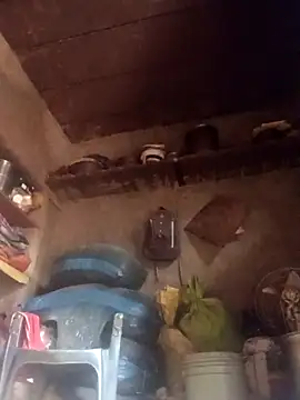 QRANSEXI online show from November 2025 09:03:01 AM