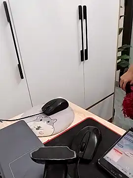 Tammy meri online show from March 2026 11:08:02 PM