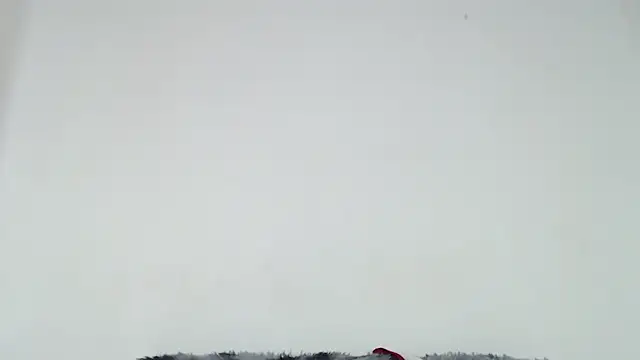 Mia fox29 online show from October 2025 01:01:02 PM