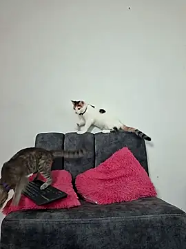 Mia fox29 online show from November 2025 11:20:02 AM