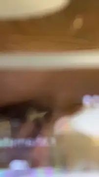 Snapshot of TheBillCrypto chatting on February 2026 12:09:02 PM TheBillCrypto online show from February 2026 12:09:02 PM