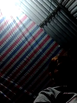 Snapshot of bella-la chatting on February 2026 11:49:01 AM bella-la online show from February 2026 11:49:01 AM