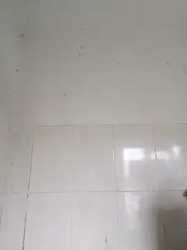 Snapshot of bella-la chatting on February 2026 01:00:02 AM bella-la online show from February 2026 01:00:02 AM