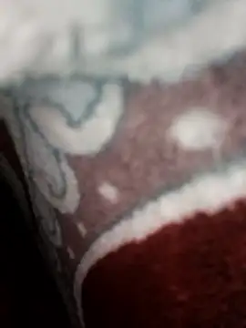 Snapshot of bigtelugubhama chatting on November 2025 11:09:02 AM bigtelugubhama online show from November 2025 11:09:02 AM