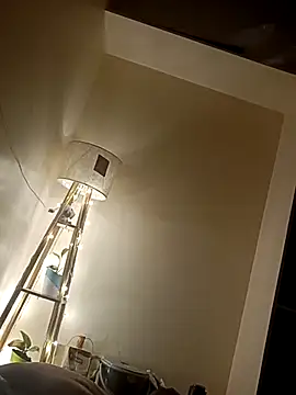 Snapshot of bigtelugubhama chatting on March 2026 06:58:02 PM bigtelugubhama online show from March 2026 06:58:02 PM