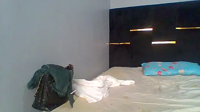 Snapshot of sashachin chatting on April 2026 05:01:02 AM sashachin online show from April 2026 05:01:02 AM