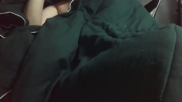 Stripholyday online show from November 2025 02:49:02 PM