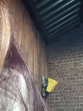 HGiasexy69 online show from November 2025 10:23:01 PM